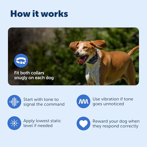 Core Dog Trainer with Remote and Add (2-Dog Trainer)