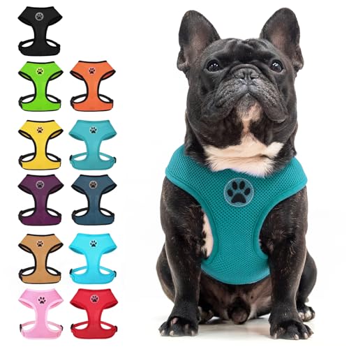 Small Dog Harness (M (NECK: 14", CHEST: 17"-21") / Aqua)