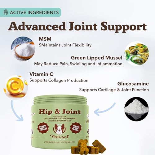 Hip & Joint Chews for Dogs (90 Count / Hip and Joint)