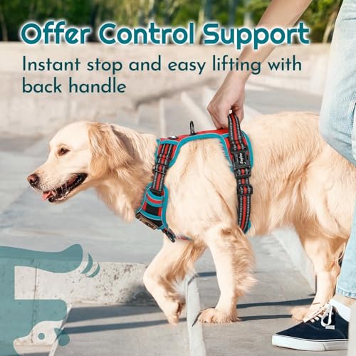 Dog Harness No Pull for Small Dogs (Small / Red & Teal)