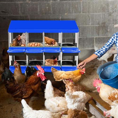 Chicken Nesting Boxes (46.3"L x 17.3"W x 10.8"H / Blue)