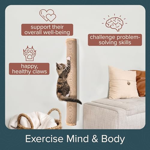 Floating Cat Shelf & Perch (Wall Mount / Ascentials Moonbeam Path)