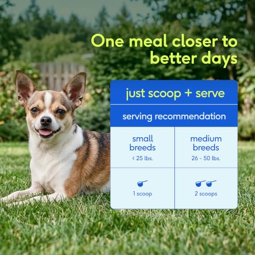 Hip & Joint Advanced Care Dog Joint Supplement Powder for Mobility & Movement Support (120 Count)