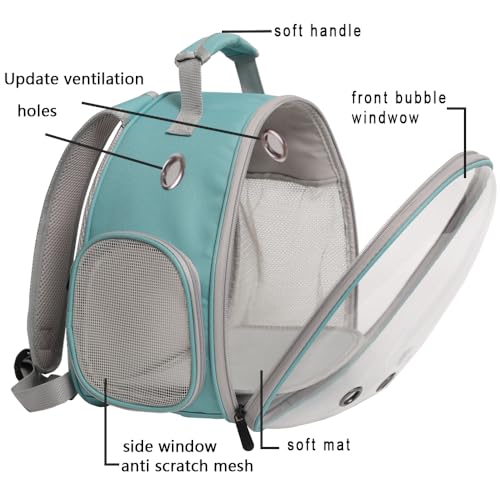 Bearded Dragon Travel Backpack with Harness and Leash Set (Green)