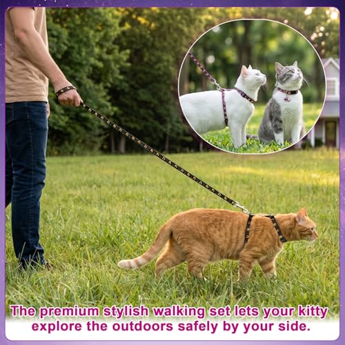 2 Pack Cat Harness and Leash (Black Purple)
