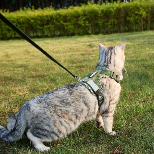 Cat Harness and Leash Set (Dark Green / X-Large)