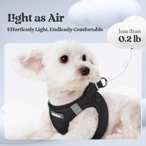 Dog Harness Medium Sized and Leash Set (Black / Xxl (chest: 21.6 - 23.7"))