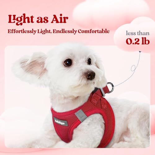 Dog Harness Small Sized and Leash Set (Red / Xxs (chest: 12.4 - 14.2"))