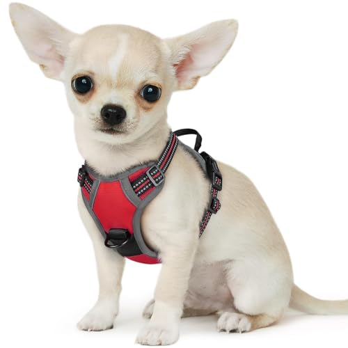 Dog Harness for Small Dogs (X-Small / Red)