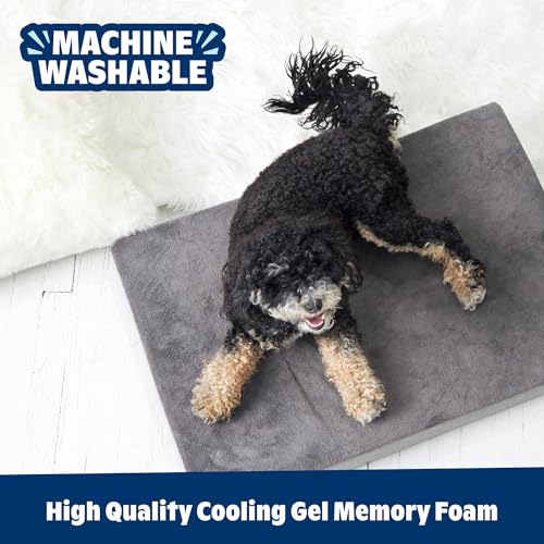Orthopedic Dog Bed (Grey / Medium)