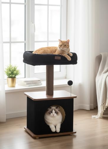 Small Cat Tree for Indoor Kittens (Walnut Finish / Small)