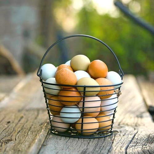 Country Heritage 10LB Hen Egg Layer Pellet Chicken Feed (Pellets / 10 Pound (Pack of 1))