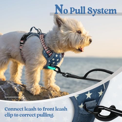 Dog Harness No Pull for Small Dogs with 2 Leash Clips (X-Small / Blue Star)