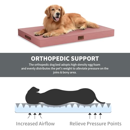 Outdoor Extra Large Dog Bed XXL for Giant Breed Dogs (Pink / 47.0"L x 29.0"W x 3.5"Th)