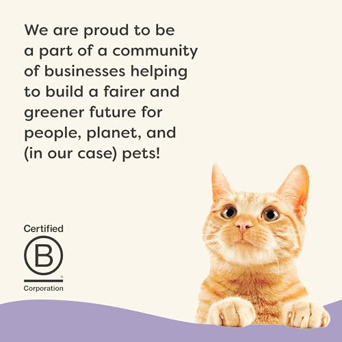 Vitality 4 Flavor Variety in Broth Wet Cat Food 24 (2.47 Ounce (Pack of 24))