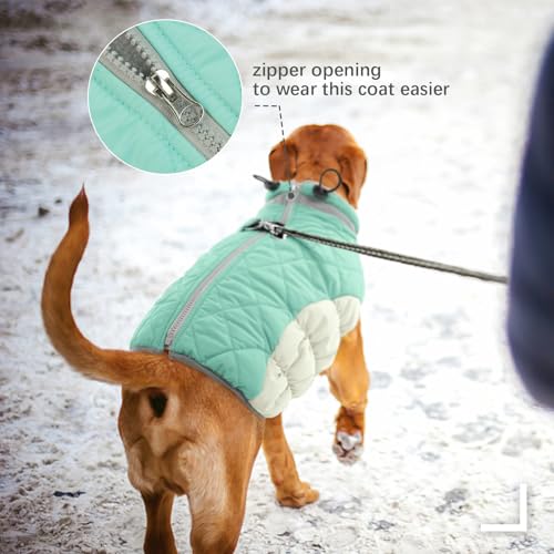 Dog Coat for Large Dogs (Mint Green / XL(chest:30in）)