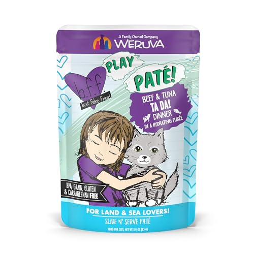 B.F.F. Play Best Feline Friend Paté Lovers (3 Ounce (Pack of 12))