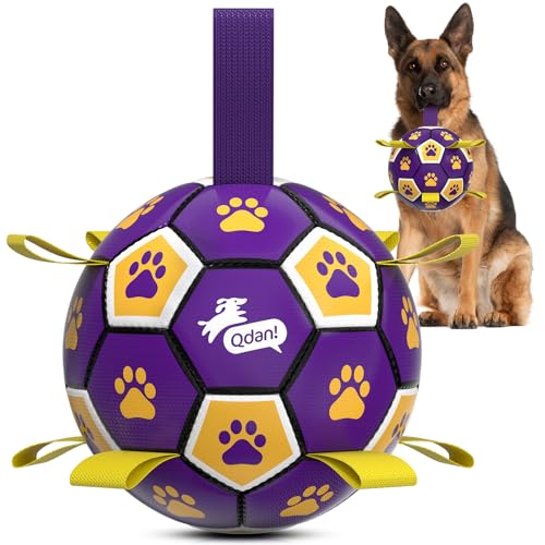 Extra Large Dog Toy Soccer Ball (Purple Yellow / 9 Inch)