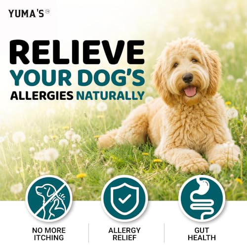 Dog Allergy Relief Chews (Allergy / 240 Chews)