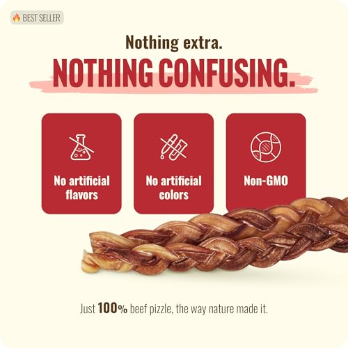 Odor Free Braided Bully Sticks (12" Braided - 10 Count)