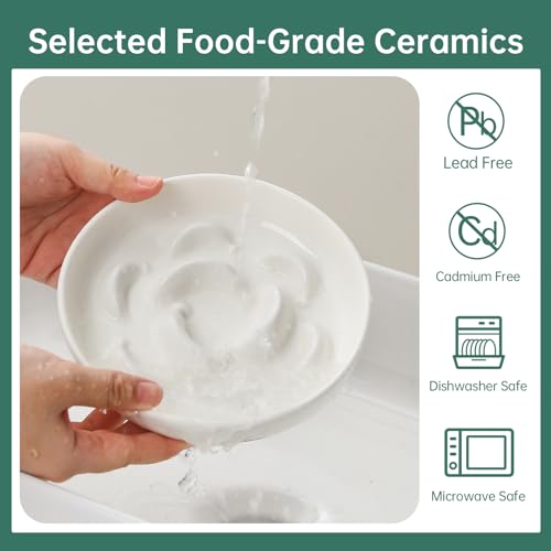 Ceramic Slow Feeder Cat Bowl (White / 1.2"H Standard)