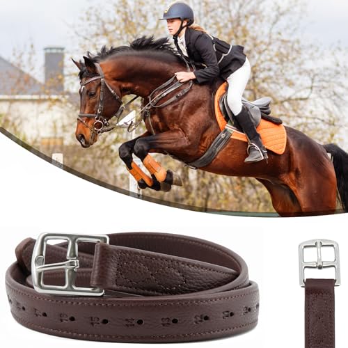 Stability English Stirrup Leathers with Strong Nylon Core for Equestrian Riding (62" / 155cm / Reddish Coffee)