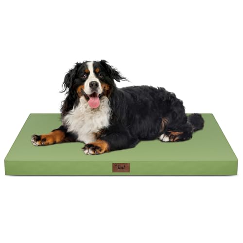 Outdoor Extra Large Dog Bed XXL for Giant Breed Dogs (Light Green / 47.0"L x 29.0"W x 3.5"Th)