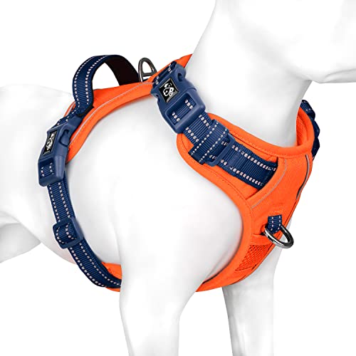 No Pull Dog Harness (Orange Base & Blue Straps / Large)