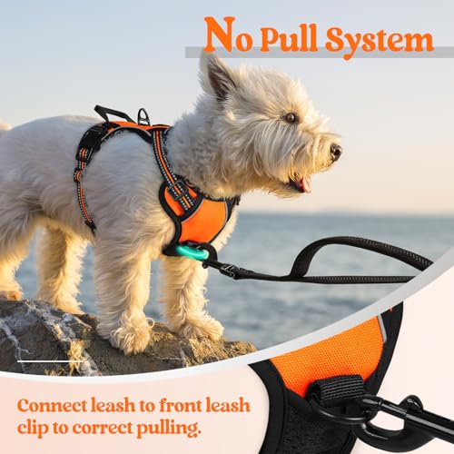 Dog Harness No Pull with 2 Leash Clips (X-Small / Orange)