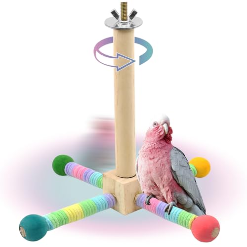 Upgraded Parrot Perch Toy (Rainbow colors)