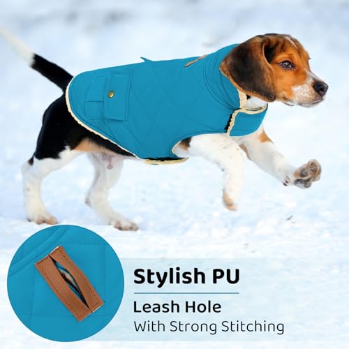 Waterproof Dog Winter Coat Warm Puffer Jacket Plush Lining Vest (Medium / Blue)