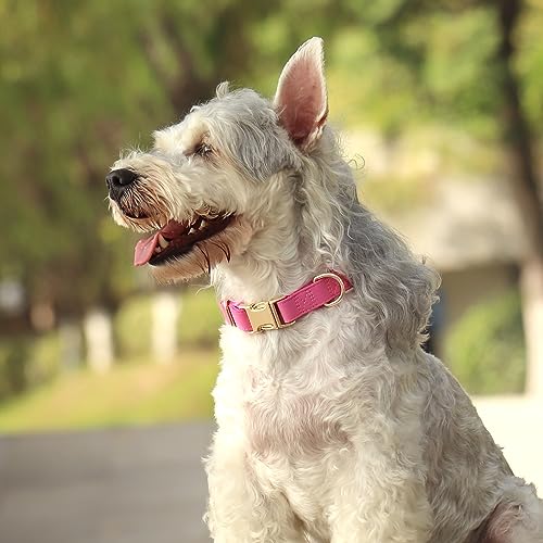 Soft PU Leather Dog Collar (L: Fit 16-27" Neck(55-110 lbs) / Hot Pink)