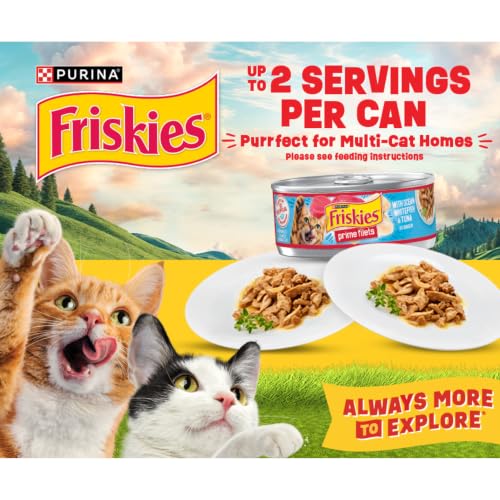 Purina Friskies Prime Filets Cat Food Variety Pack (5.5 Ounce (Pack of 40))