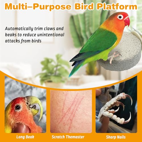 8 PCS Bird Perch Parrot Beak Grinding Stone Calcium Mineral Parrot Perch Foot Claws Trimmer Chewing Toy Bird Cage Accessories for Small Medium Budgie Cockatiel Conure Lovebird