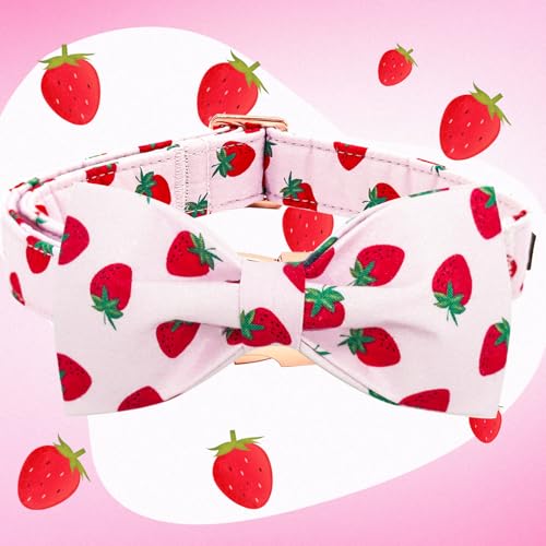 Summer Dog Collar (Strawberry / Medium (Pack of 1))