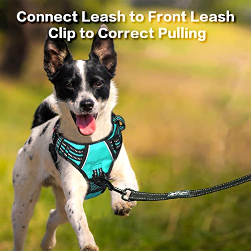 No Pull Dog Harness with 3 Leash Clips and Vertical Handle (Extra Large / Mint Blue)