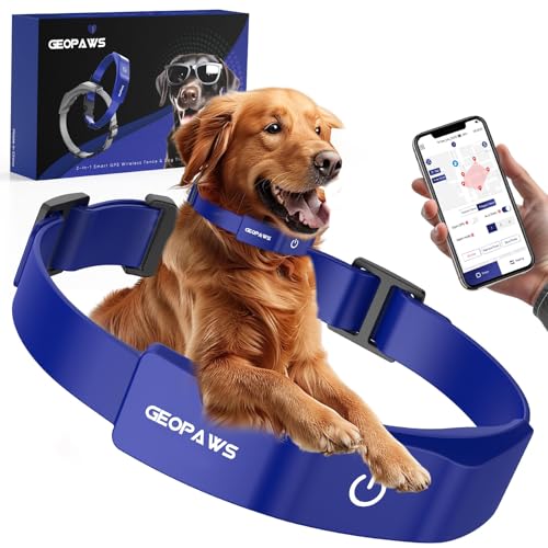 GPS Wireless Dog Fence (Blue)