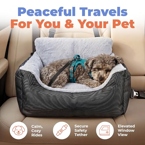 Elevated Dog Car Seat for Small Dogs (Booster (Black) / 21" x 20" x 14")