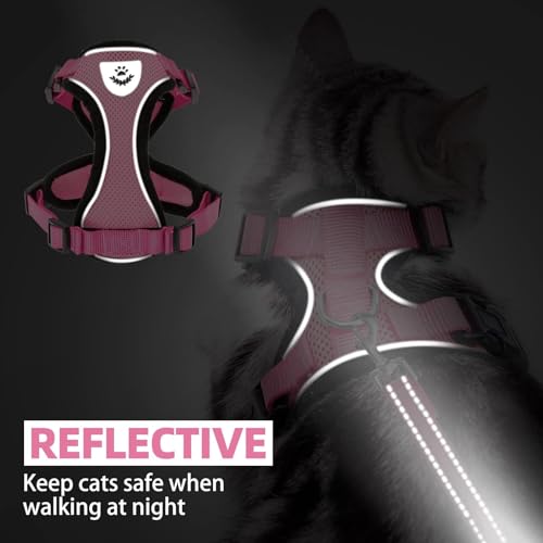 Cat Harness and Leash Set Escape Proof Reflective Cat Walking Harness Adjustable Soft Breathable Mesh Vest for Small Pets (M (NECK 11"-13.7", CHEST 16"-20") / Light Pink)