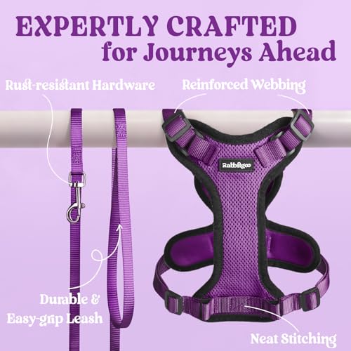 Cat Harness and Leash Set (Xxs / Purple)