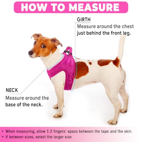 Comfort Fit Dog Harness Step in No Pull Harness for Small Medium Sized Dogs Soft Padded No Escape Harness Adjustable Easy Buckle with Leash Attachment D (XS (Chest 13"-14.5") / Pink Plush)