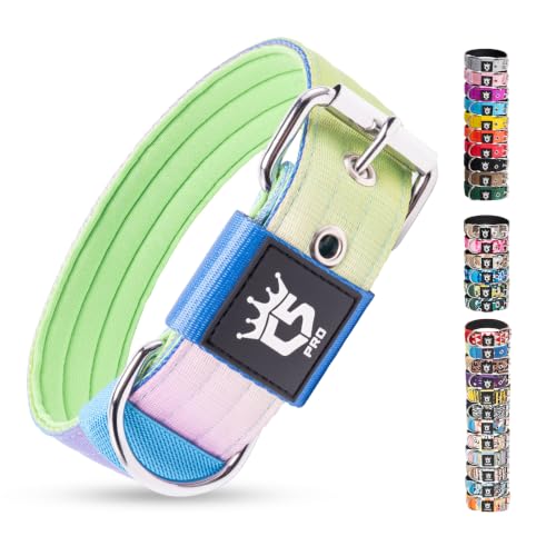 Heavy Duty Thick Dog Collar with Metal Buckle for Large Dogs (L – Fits Neck 18.9"-21.7" / Rainbow)