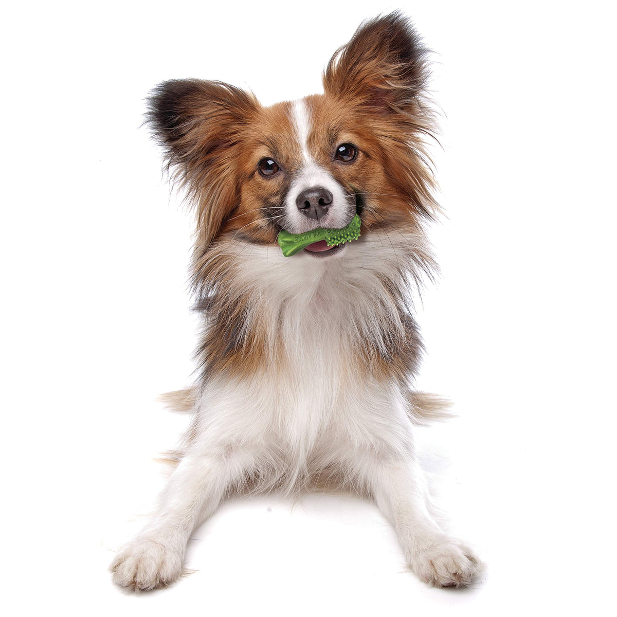 Nutri Dent Dog Dental Chews (5.6 Ounce (Pack of 1))