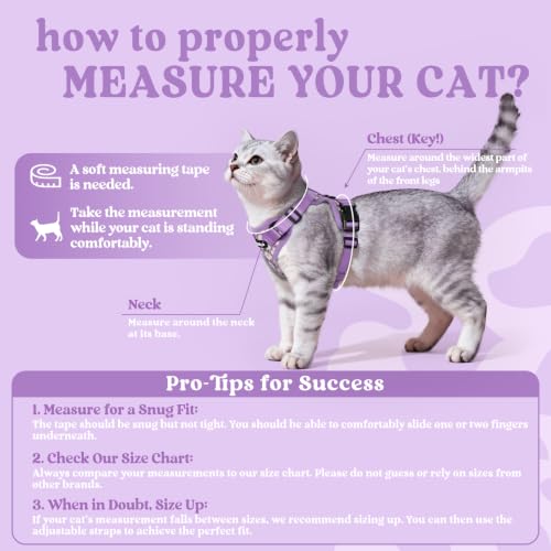 Cat Harness and Leash Set (Xxs / Purr-ple Daisy)