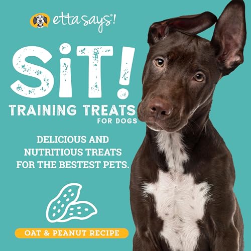 Sit Training Treats