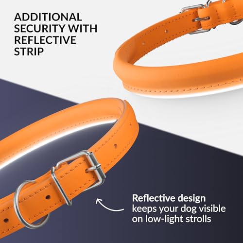 Tangle Free Reflective Leather Dog Collar (Orange / M)