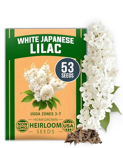 White Lilac Seeds
