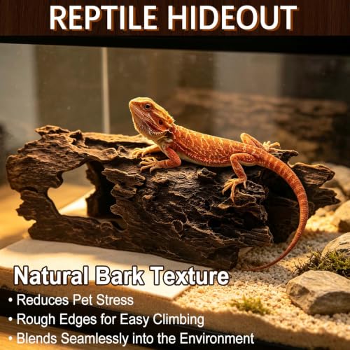 Bearded Dragon Hide