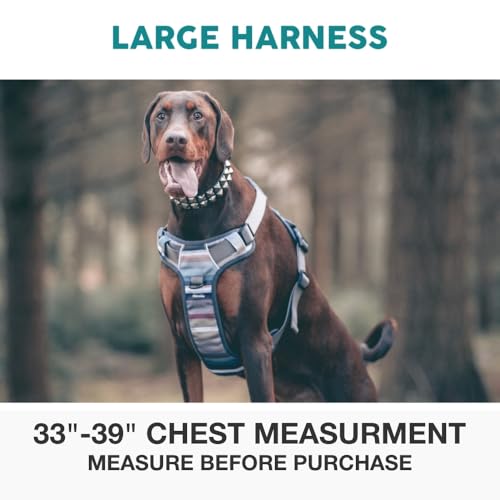Embark No Pull Dog Harness (L / Baja)