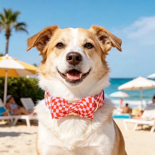 Pink Checked Dog Collars with Bow (Pink Checked / Small (Pack of 1))